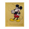 Gouden postzegel 2023 100 jaar Walt Disney 