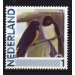 2791-Aa-5-Vogels-Boerenzwaluw